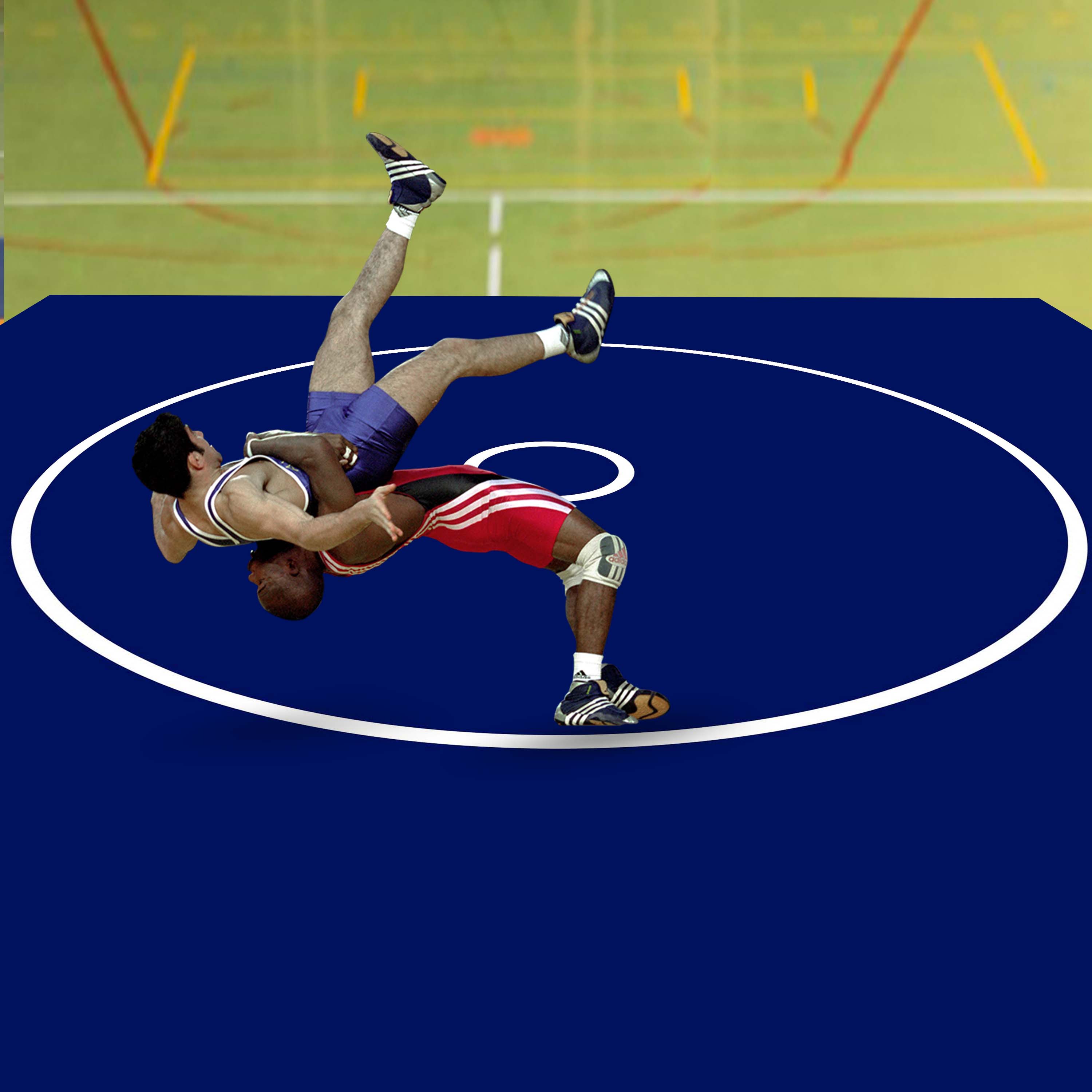 Gravolite Wrestling Training Mat